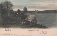 carte-postale-bas-oha-031