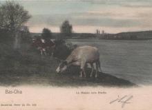 carte-postale-bas-oha-031