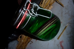 P1010707