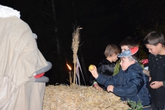 fsc_0001-117