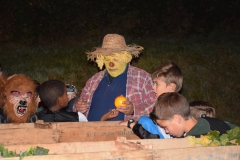 fsc_0001-138
