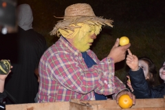 fsc_0001-140