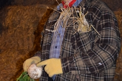 fsc_0001-175