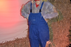 gsc_0011-045