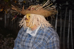 gsc_0011-051