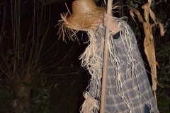 gsc_0011-080