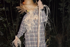 gsc_0011-081