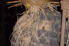 gsc_0011-092