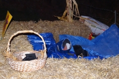dsc05081