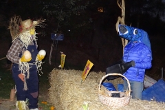 dsc05089