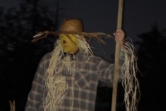 dsc05101