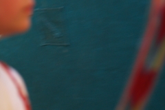 P5100556