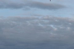 p1090978