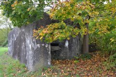 DSC_0982